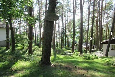 Feriendorf Mengshausen 1