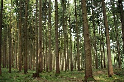 Vakantiehuis Ontspannende vakantie Kirchheim