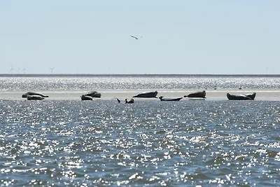 Pension Hilligenlei Zi 05 DZ