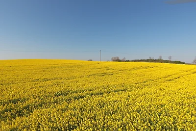 Schleiblick Sparzimmer 1