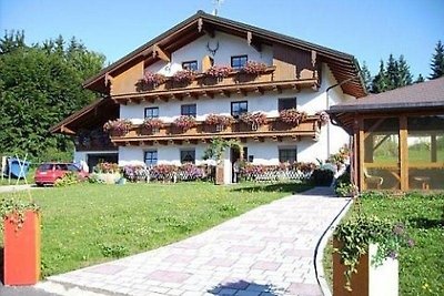 Vakantieappartement Gezinsvakantie Altreichenau