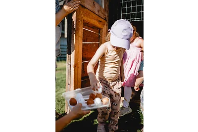 Huxfeld-Hof - Tiny-House KUHni