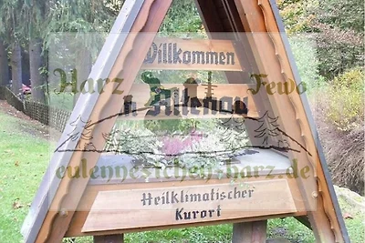 Fewo Eulennestchen-Harz S.1 für