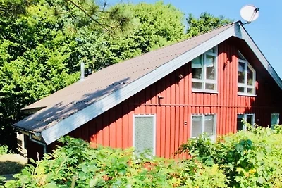 Komfort-Ferienhaus - Extertal