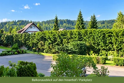 Fewo Eulennestchen-Harz L.2 für