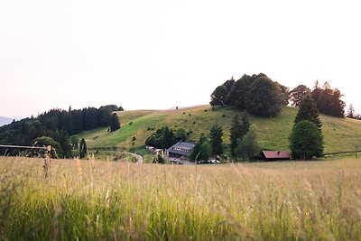 Appartamento Vacanza con famiglia Utzenfeld