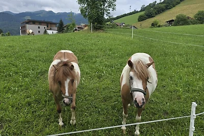 Casa vacanze Vacanza di relax Wildschönau