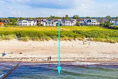 Dünenrose, App.4, "Wolkenlos"