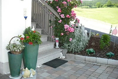 Vakantiehuis Ontspannende vakantie Geiersthal