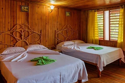 Cabañas La Roca Appartement 1