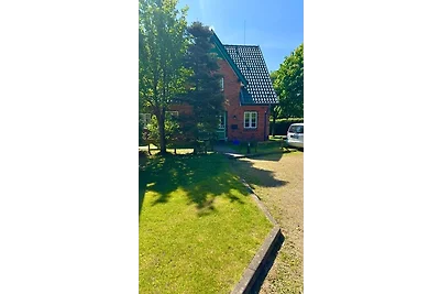 Green Eilun Hausteil 1