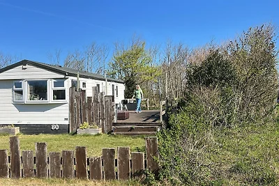 Vakantiehuis Ontspannende vakantie Hippolytushoef