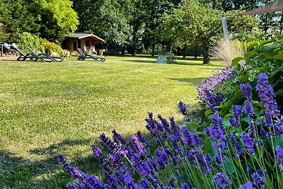 Holiday flat family holiday Burg auf Fehmarn