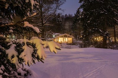 4 Personen mit Sauna (F0H8)