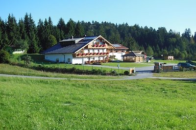 Vakantieappartement Gezinsvakantie Neureichenau