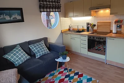 Apart Zwergmöwe im Möwennest