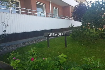 Küstenperle