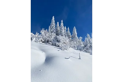 Ferienwohnung "Schwarzwald-Nest"
