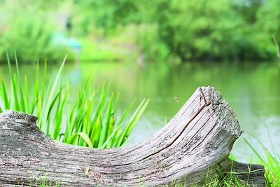 Vakantieappartement Gezinsvakantie Offenbüttel