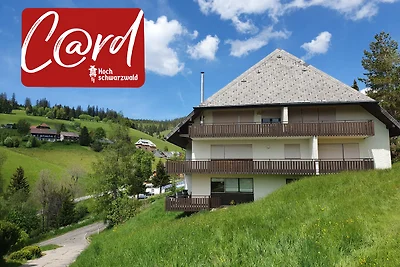 Spechtsboden C4- hochwertige