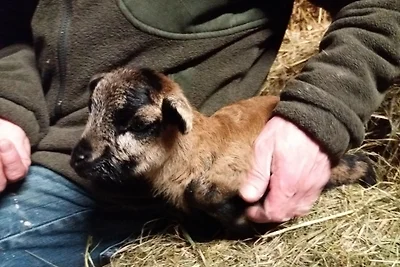 Mühlenhof Soderstorf Wohnung E