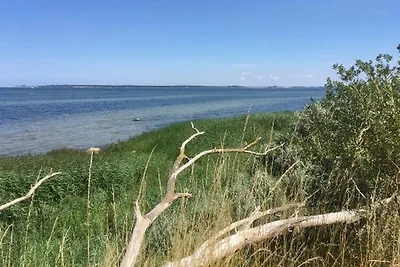 Strandhaus Fiete - Haus Walfisch -