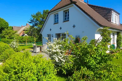 Aapelwin auf Föhr