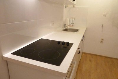 Vakantieappartement Gezinsvakantie Wien