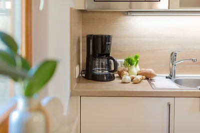 reetgedecktes FH am Deich 2/2