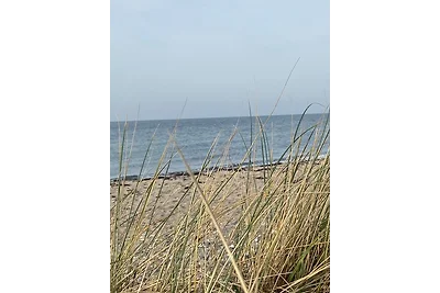 Holiday flat family holiday Burg auf Fehmarn