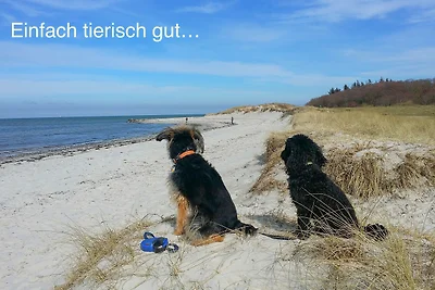 Whg. Sturmmöwe - Haus Nordlichter