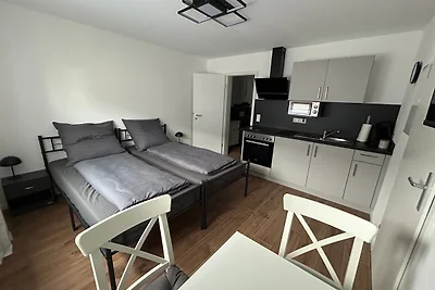 RheinSchatz Apartment 2