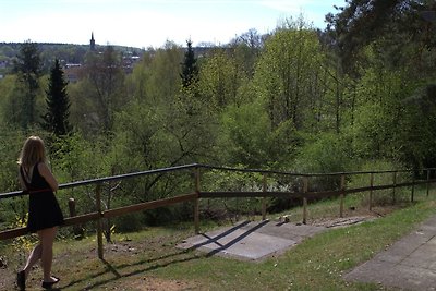 Vakantiehuis Ontspannende vakantie Feldberg