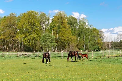 Appartamento Vacanza con famiglia Bad Bodenteich