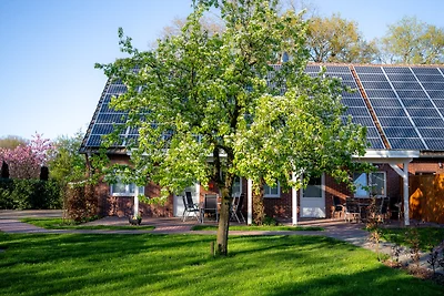 Ferienhof Grönheim - Fuchsbau