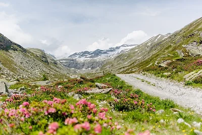 Casa vacanze Vacanza di relax Matrei in Osttirol