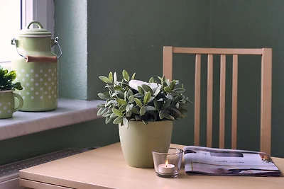 Ostsee-Ferienhaus-Richter