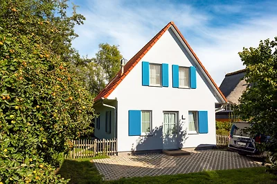 C 2 Family Ferienhaus Wicky