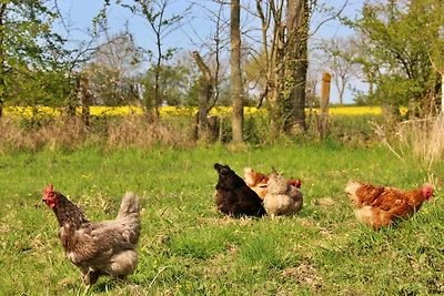 Kleingarn - "Meeresblick" Nr.12