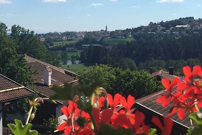 Ferienwohnung Hauzenberg Blick