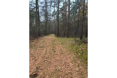 Smart Home Mitten im Wald /