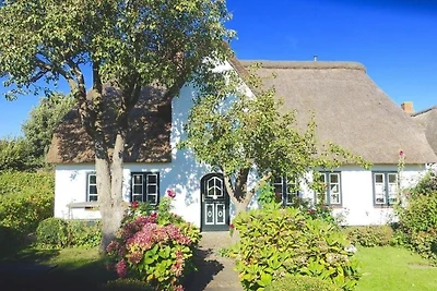 Casa vacanze Vacanza di relax Midlum