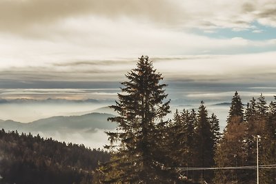 Vakantieappartement Gezinsvakantie Klaffer am Hochficht