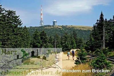 Fewo Eulennestchen-Harz S.1 für