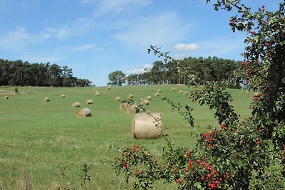 Appartamento Vacanza con famiglia Lütow