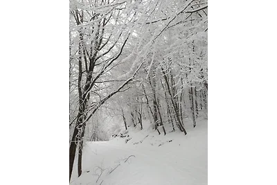 Ferienhäuser Am Eichenberg, Haus 3