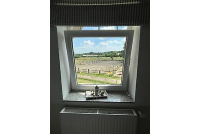 Erlebnishof Schwanewede