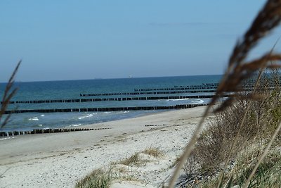 Vakantieappartement Gezinsvakantie Börgerende-Rethwisch