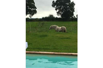 Hoheluft am Wittensee Apt. 3