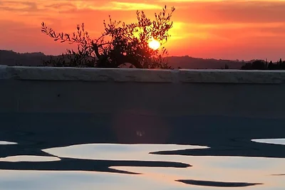 FeWo LUNA mit Garten, Terrasse und